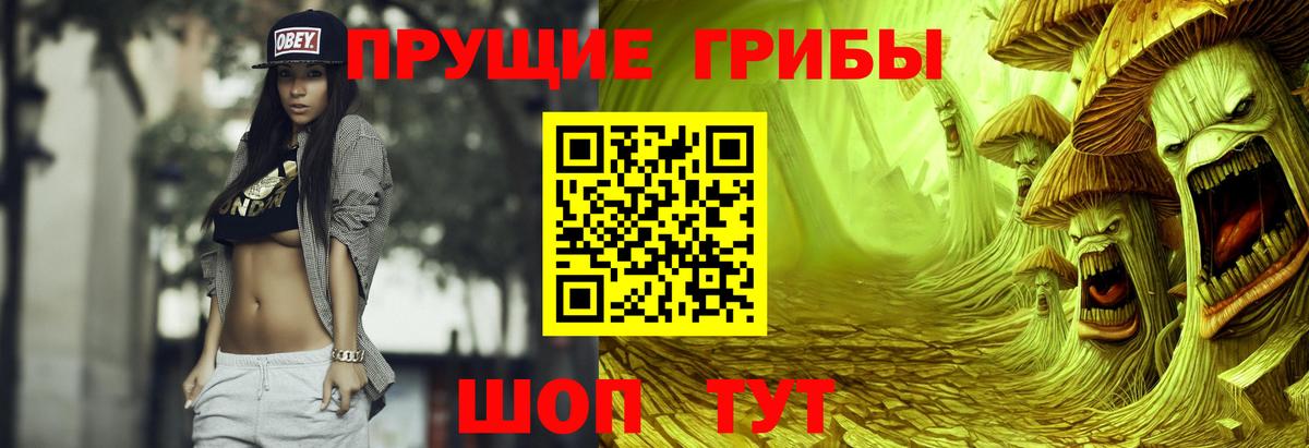 Сосновый Бор  Галлюциногенные грибы Psilocybine cubensis  дарнет шоп  Галлюциногенные грибы мухоморы  Вход с VPN 