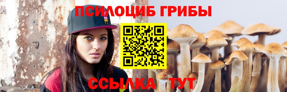 Псилоцибиновые грибы Magic Shrooms Сосновый Бор